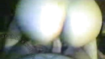 Cougar教の使い方をstrapon. 海外 ポルノ ビデオ
